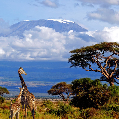 Tanzania