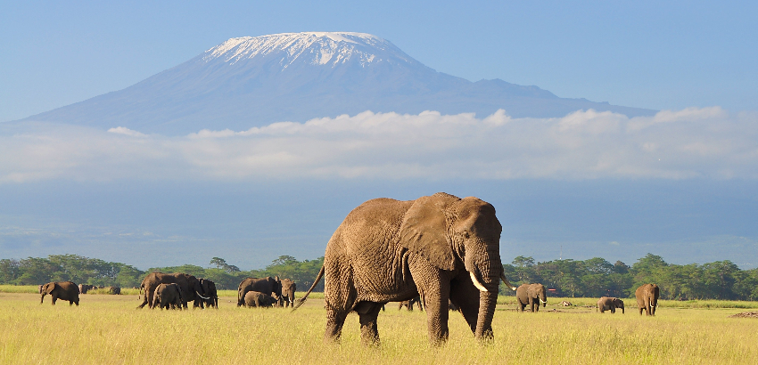 Kenya